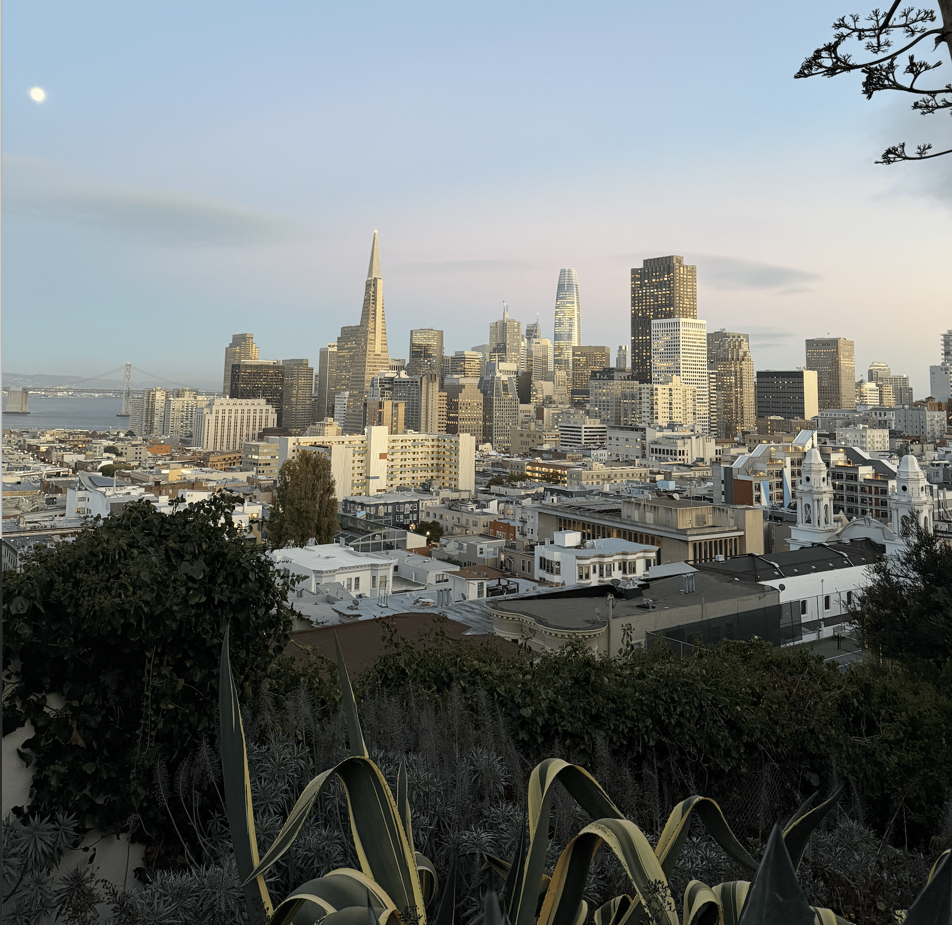 J’ai cru San Francisco hors de prix jusqu'à ce que je découvre ce quartier bien plus abordable