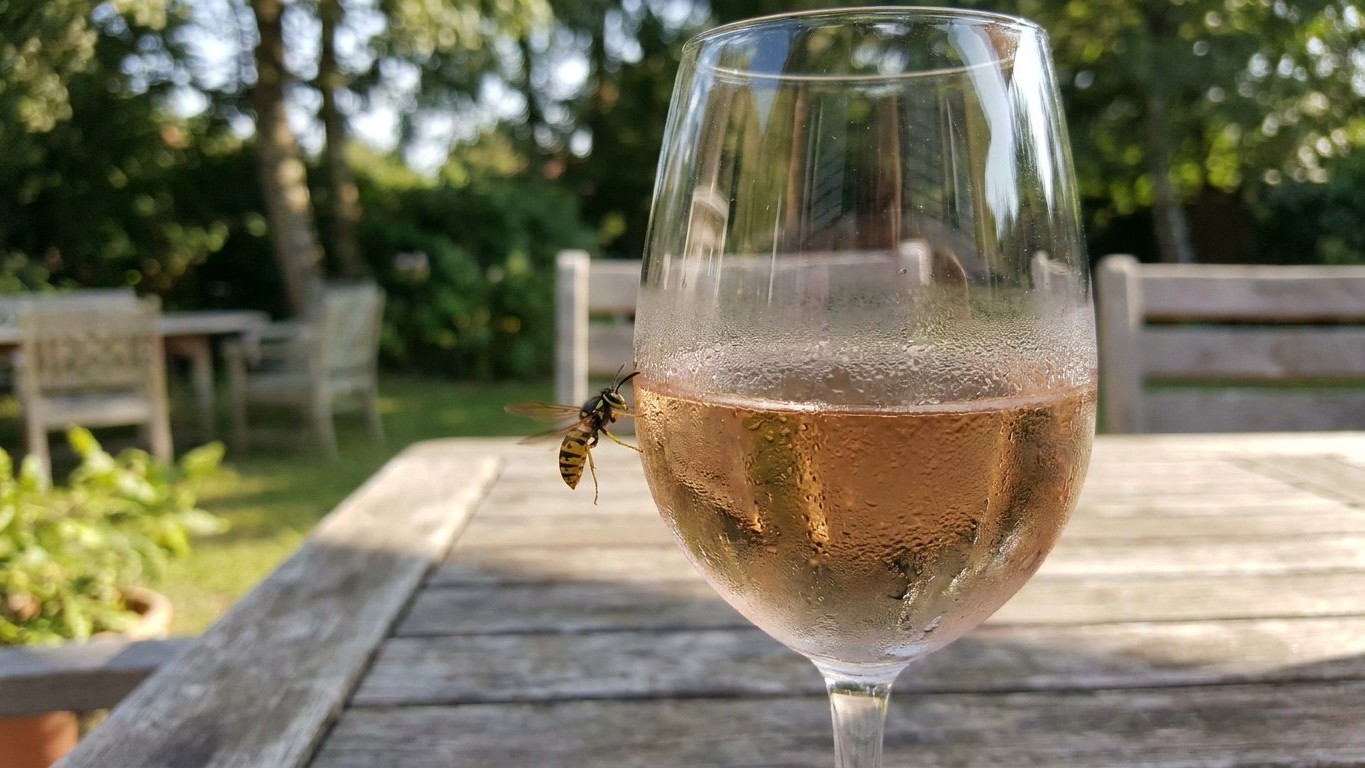 Fini les guêpes autour du plateau de viande : fin juillet, c'est ce qui reste dans les verres qui fait basculer toute la c...